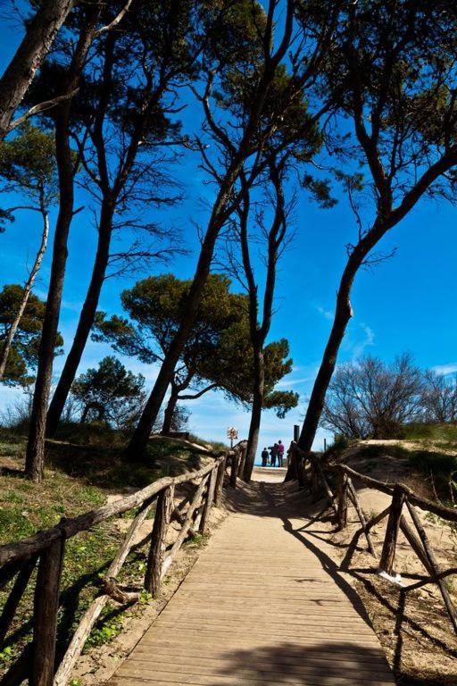 Casa Con Jardin-Wifi Free Villa L' Escala Dış mekan fotoğraf